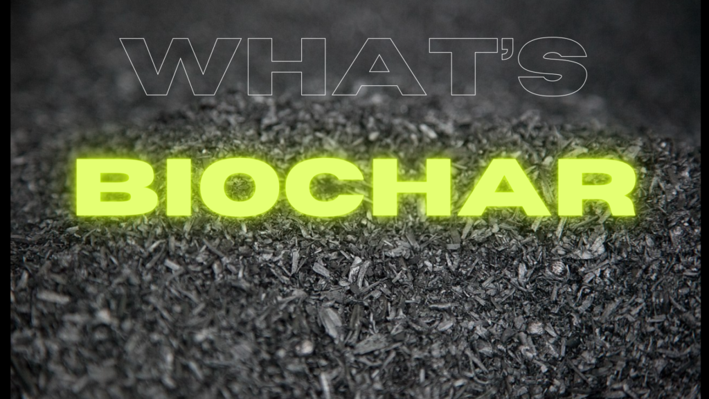 What is BioChar? – BioEconomy Solutions