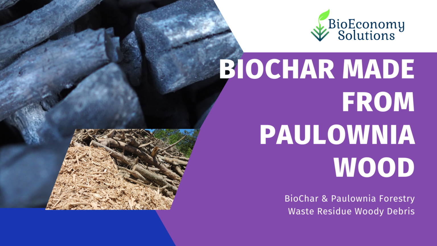 BioChar & Paulownia Forestry Waste Residue Woody Debris – BioEconomy ...