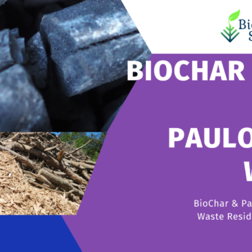 Biochar Made From Paulownia Wood