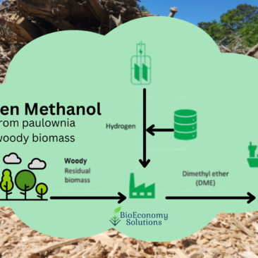 Green methanol from woody biomass