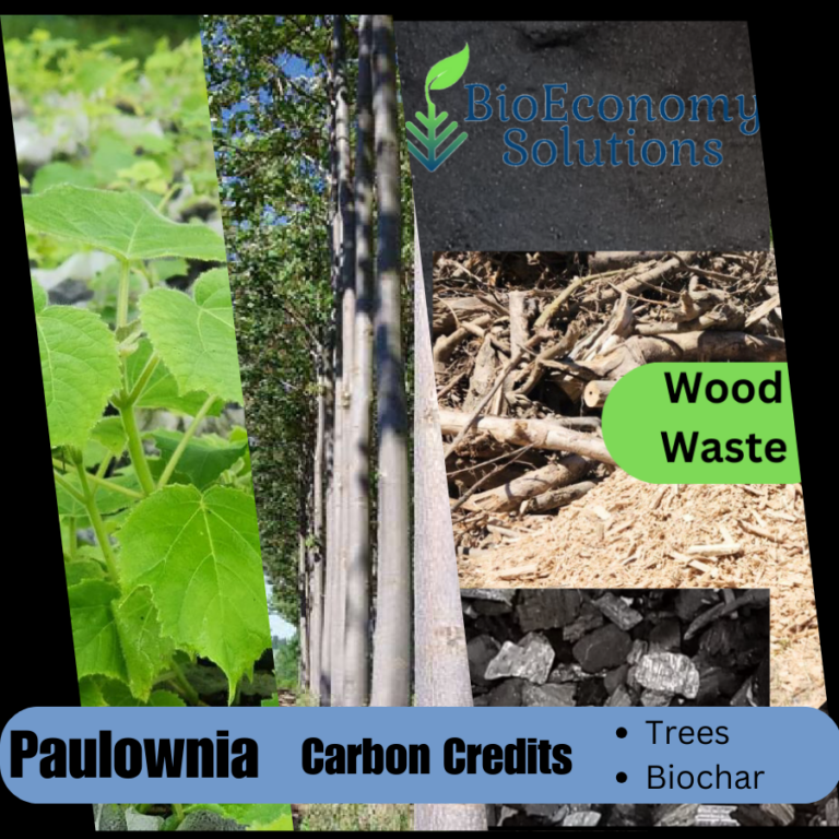 Contribution For Tree The Environmental Contributions of Pretty Trees (Beyond Aesthetics ...