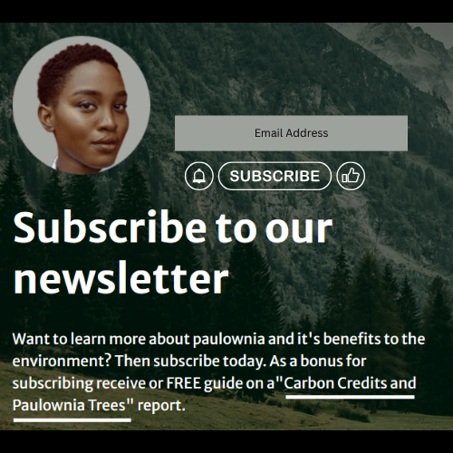 Subscribe to our newsletter