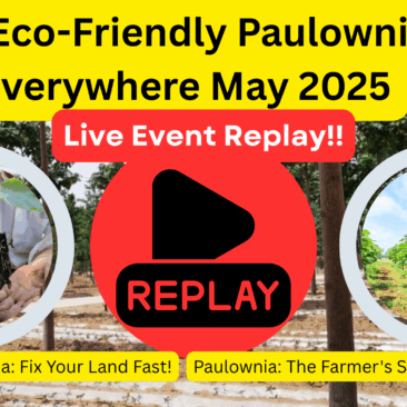 REPLAY Live Event Eco-Friendly Paulownia Trees Everywhere