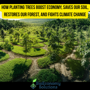 Tree Economy How Planting Trees Boost Economy, Saves Our Soil, Restores Our Forest ...