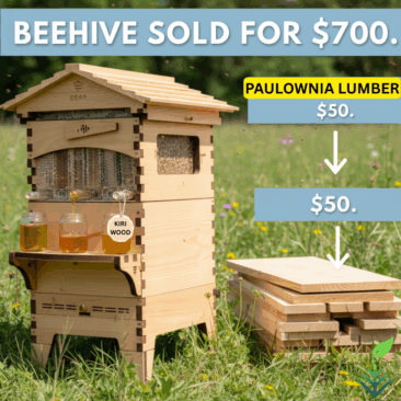 PAULOWNIA LUMBER BEE Hive