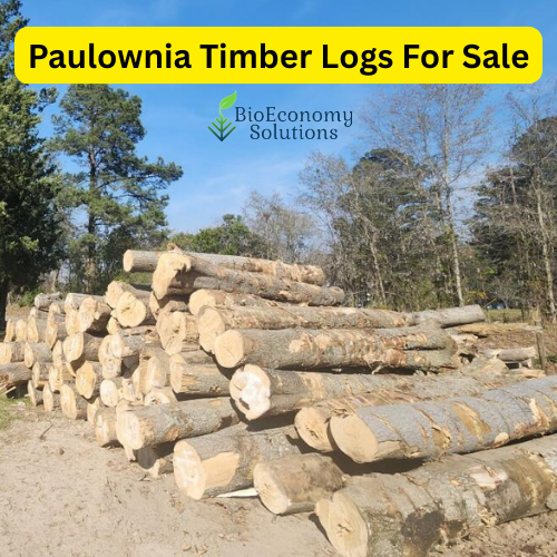 Paulownia Timber Logs For Sale