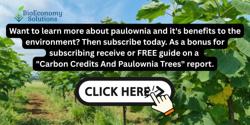 Get a FREE copy of Paulownia Carbon Report